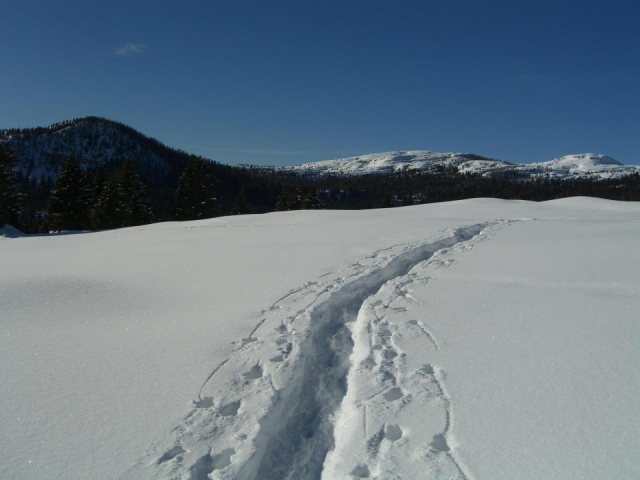 Escursioni con le ciaspole